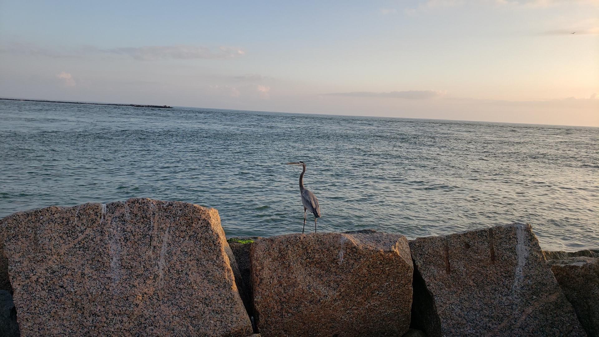 1000 N Station St # 106, Port Aransas, TX 78373