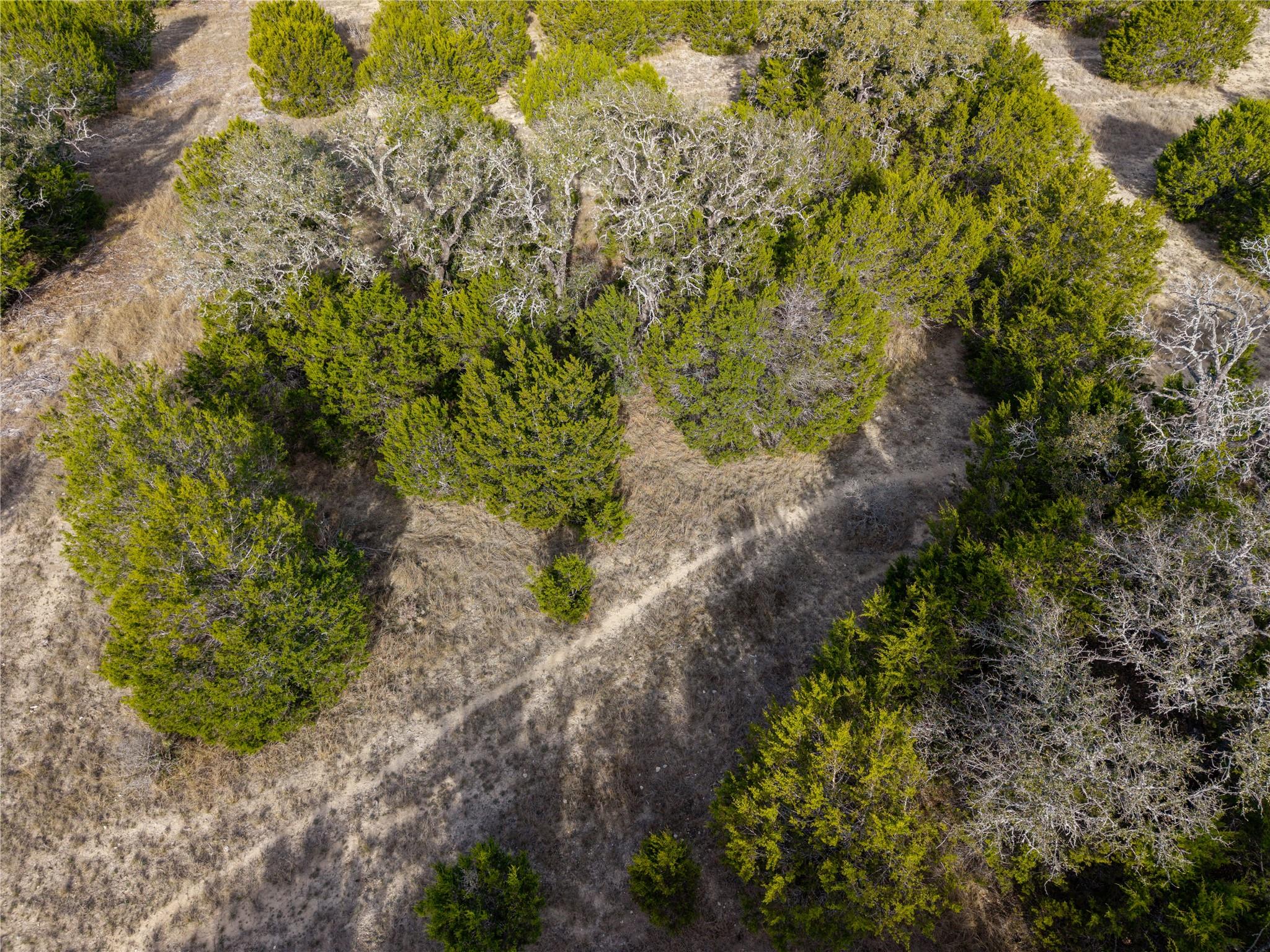 Lot 66 Bluff View Rd, Kempner, TX 76539