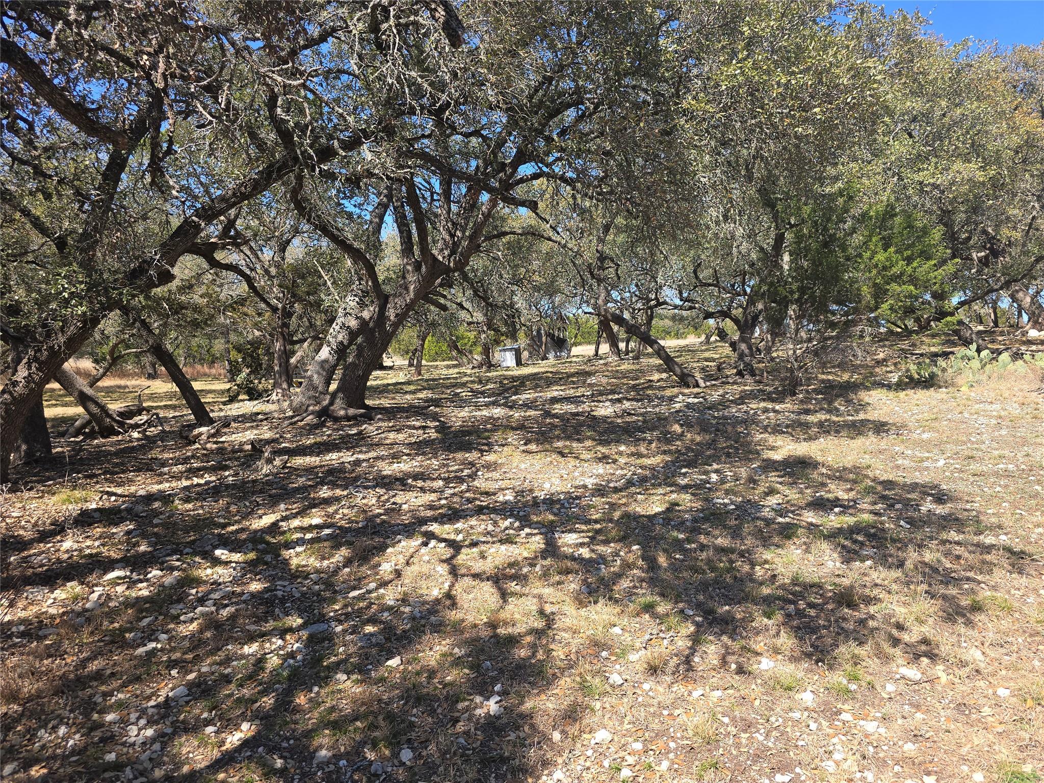 230 Bush Bok Dr, Burnet, TX 78611