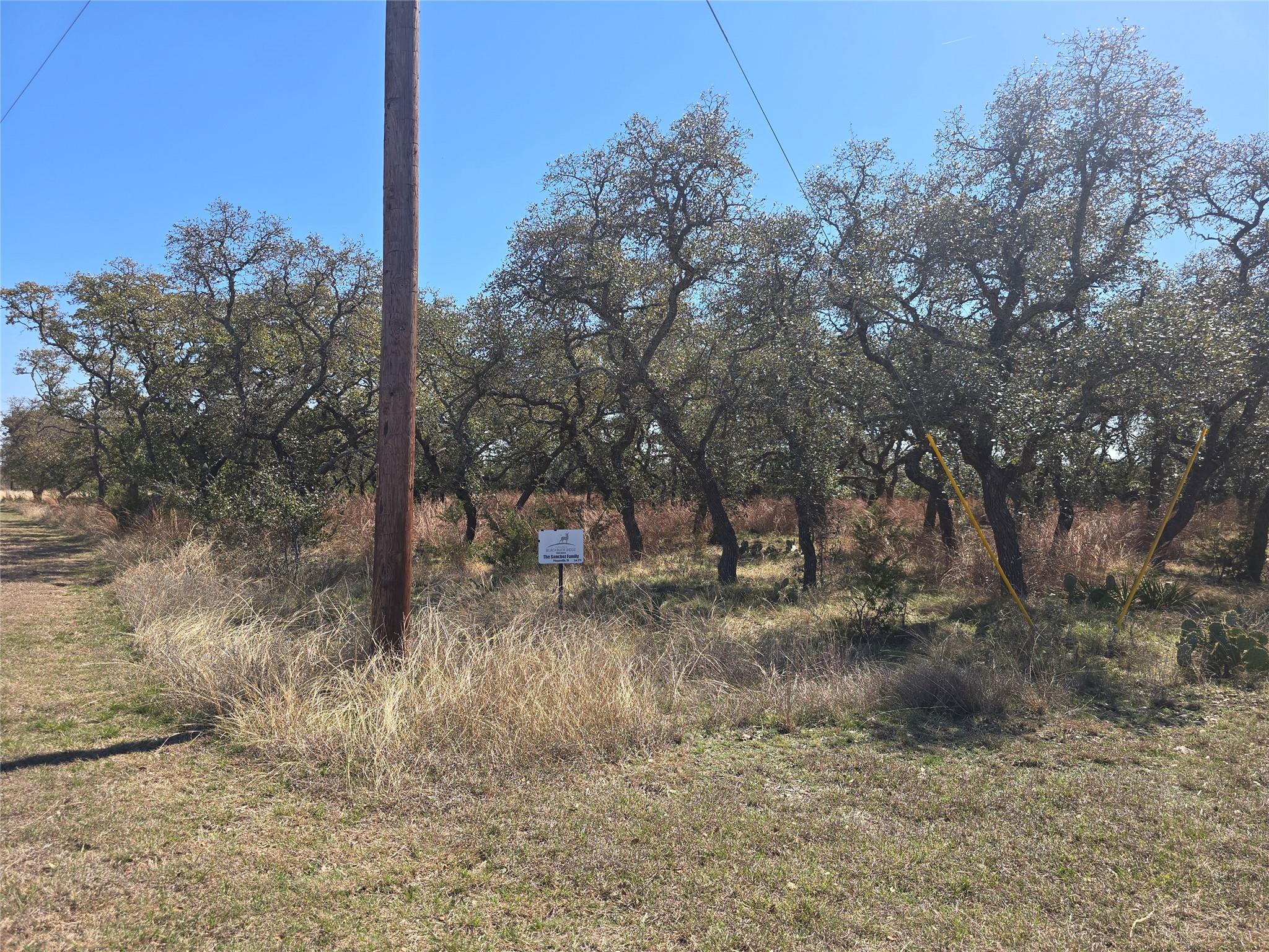 lot 211 Axis Way, Lampasas, TX 76550