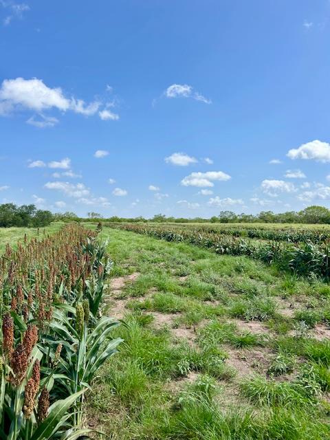 0 I35-access Highway, Pearsall, TX 78061