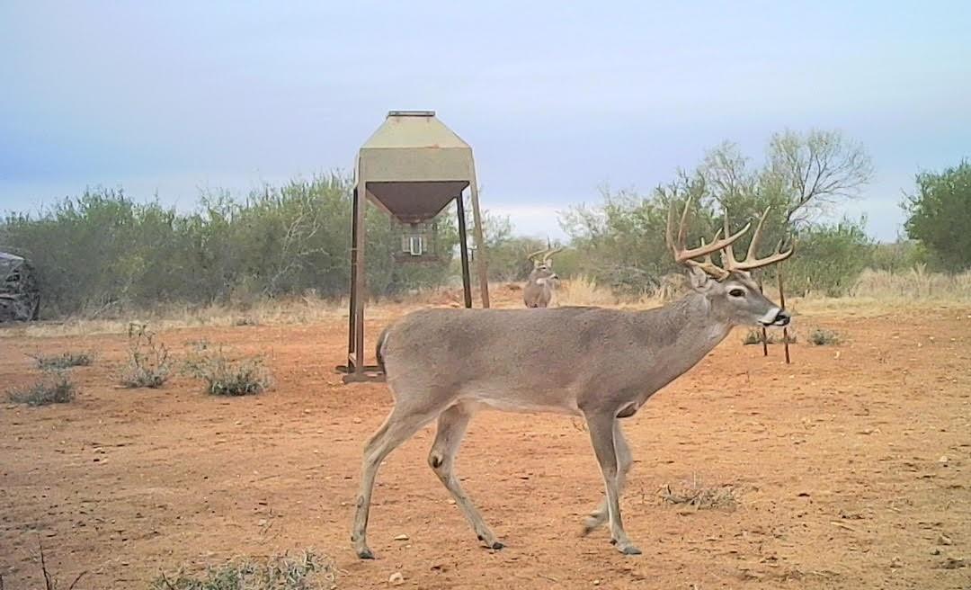 0 I35-access Highway, Pearsall, TX 78061