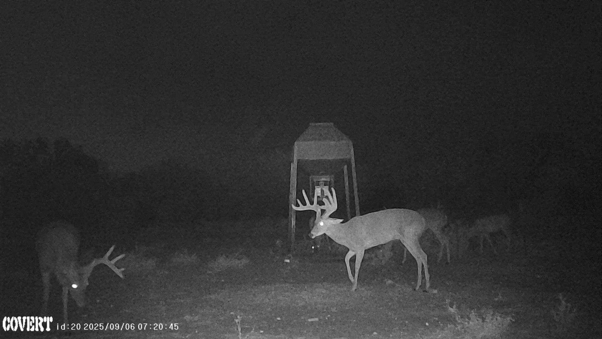 0 I35-access Highway, Pearsall, TX 78061