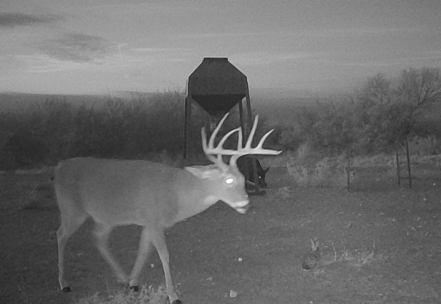 0 I35-access Highway, Pearsall, TX 78061