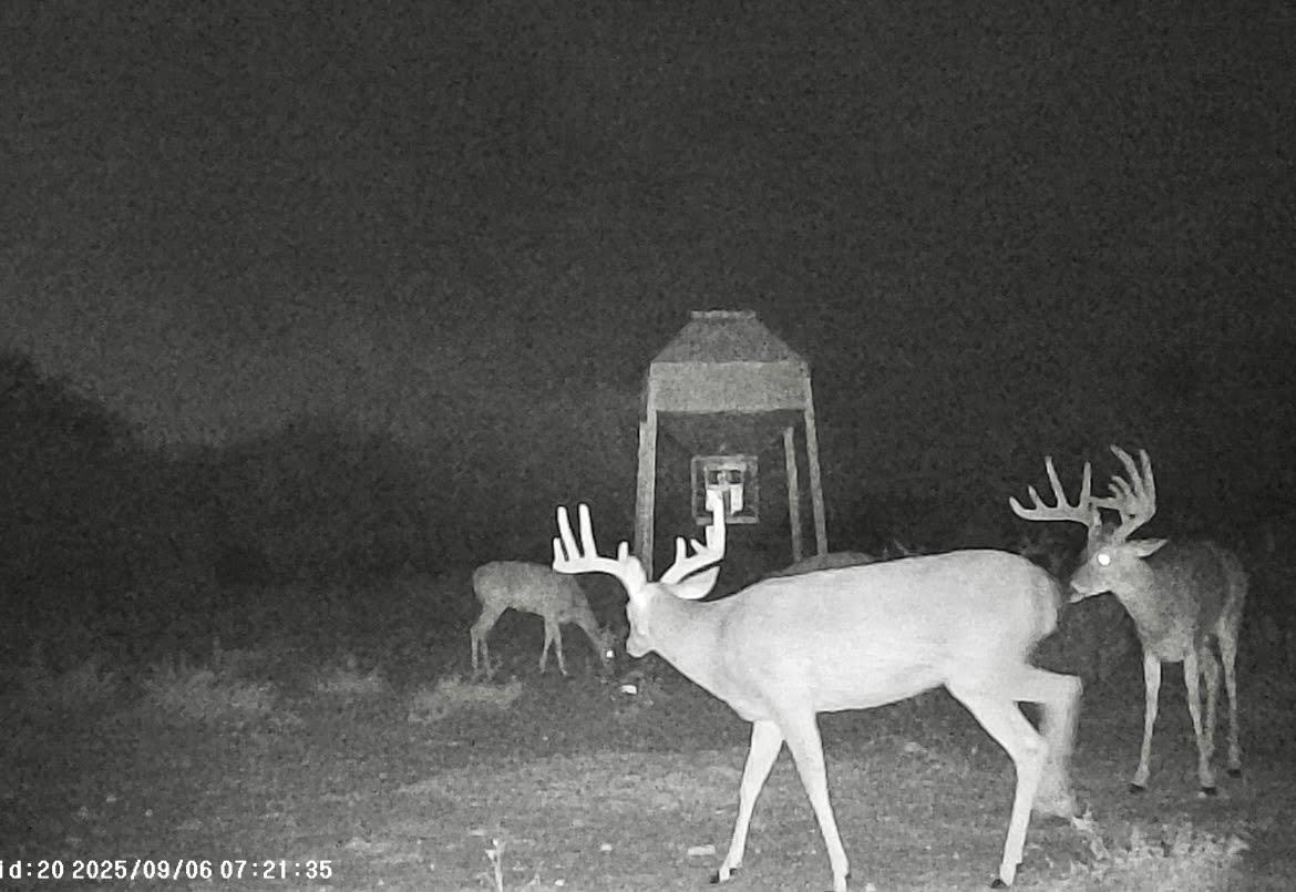 0 I35-access Highway, Pearsall, TX 78061