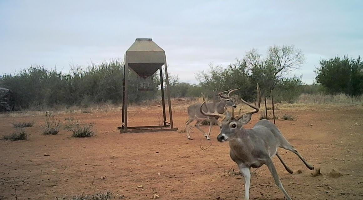 0 I35-access Highway, Pearsall, TX 78061