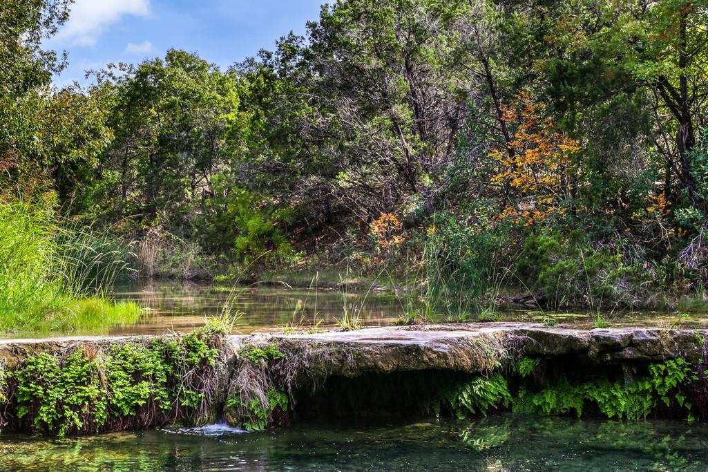 16429 Red Wagon Ln, Leander, TX 78641