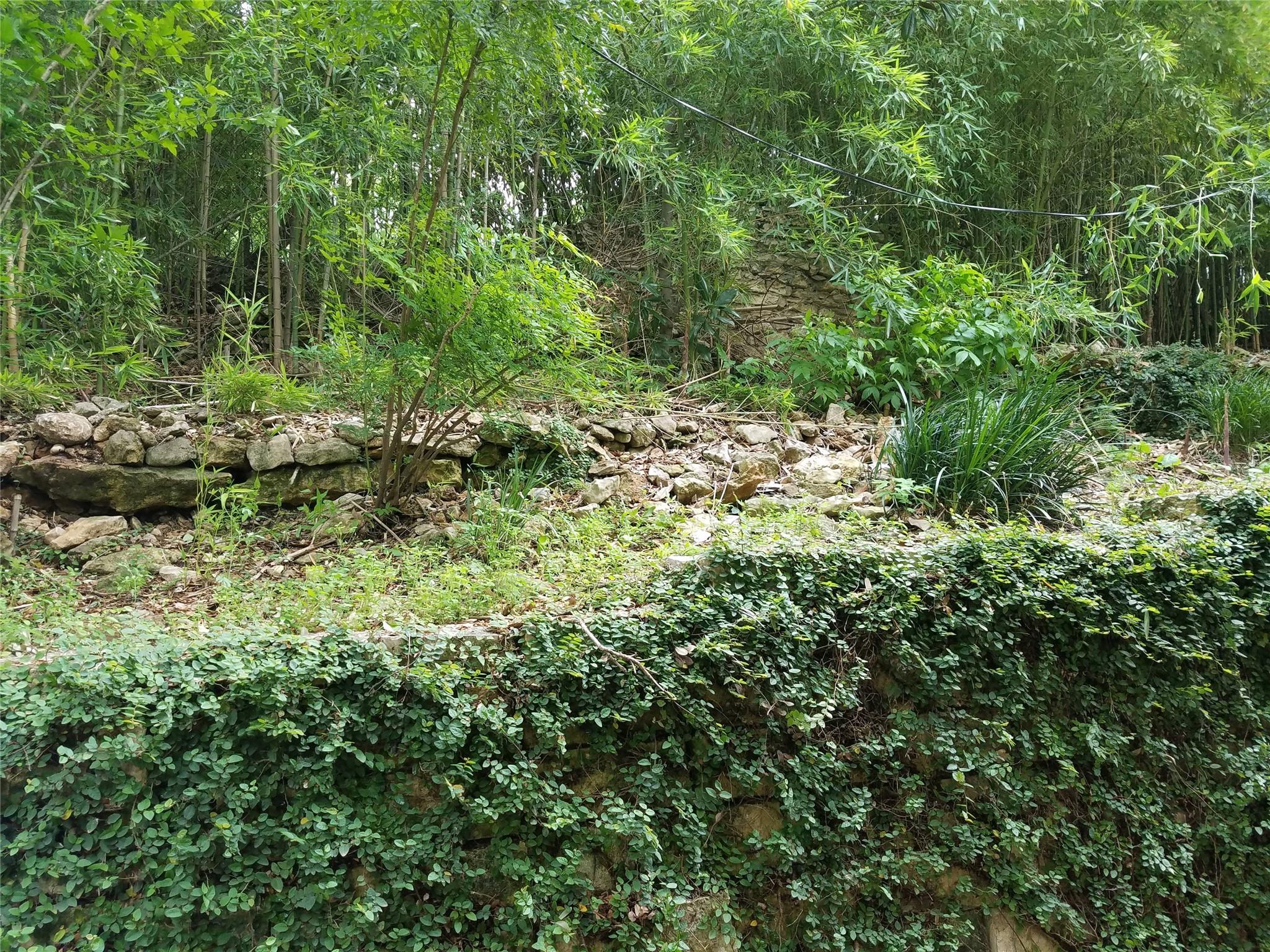 2205 N Lamar Blvd # 311, Austin, TX 78705