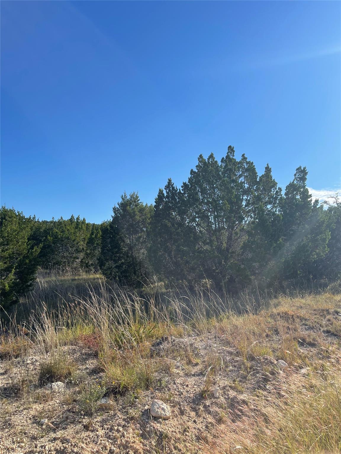 452 Whitewater Dr, Bertram, TX 78605