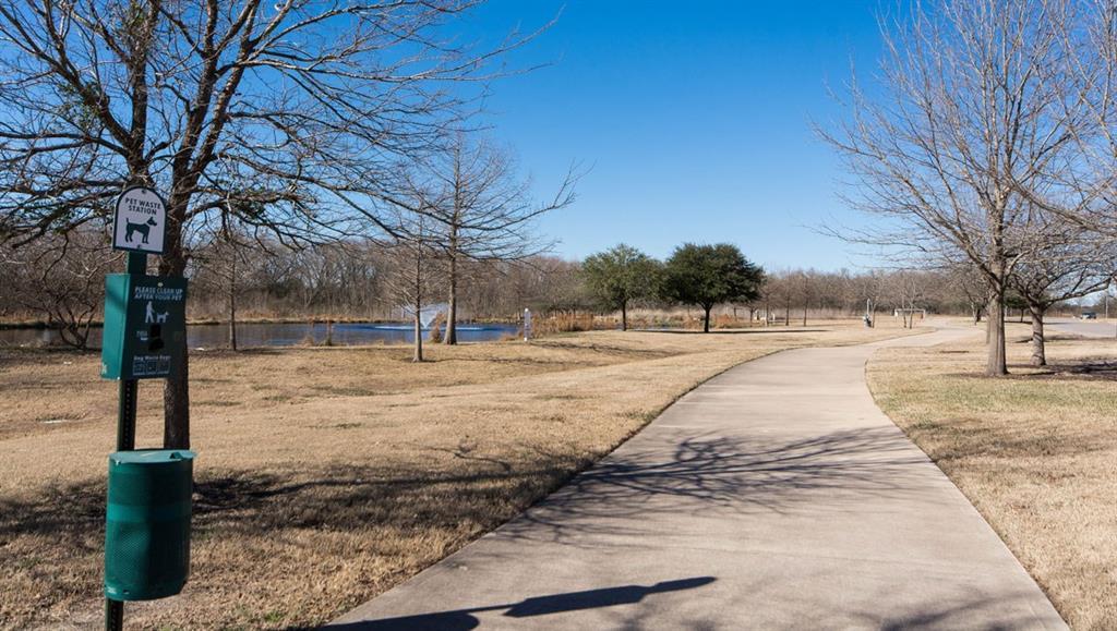 1118 Black Canyon St, Pflugerville, TX 78660