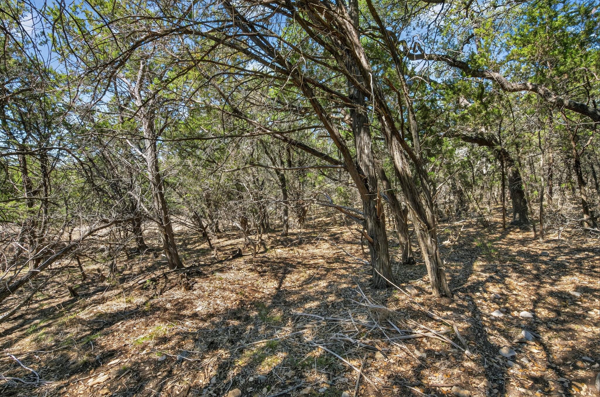 TBD Mesquite Trl, Wimberley, TX 78676