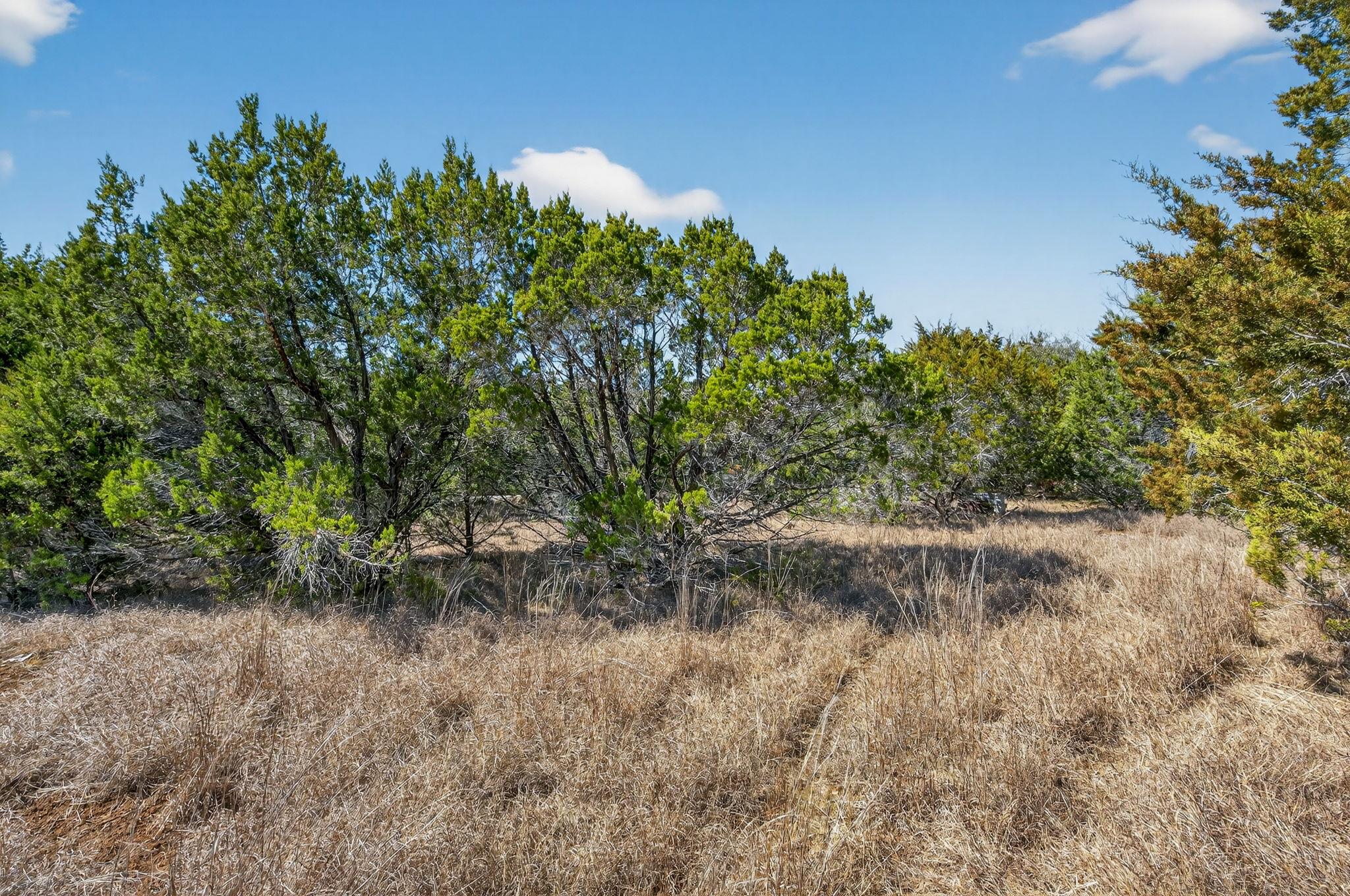 TBD Mesquite Trl, Wimberley, TX 78676
