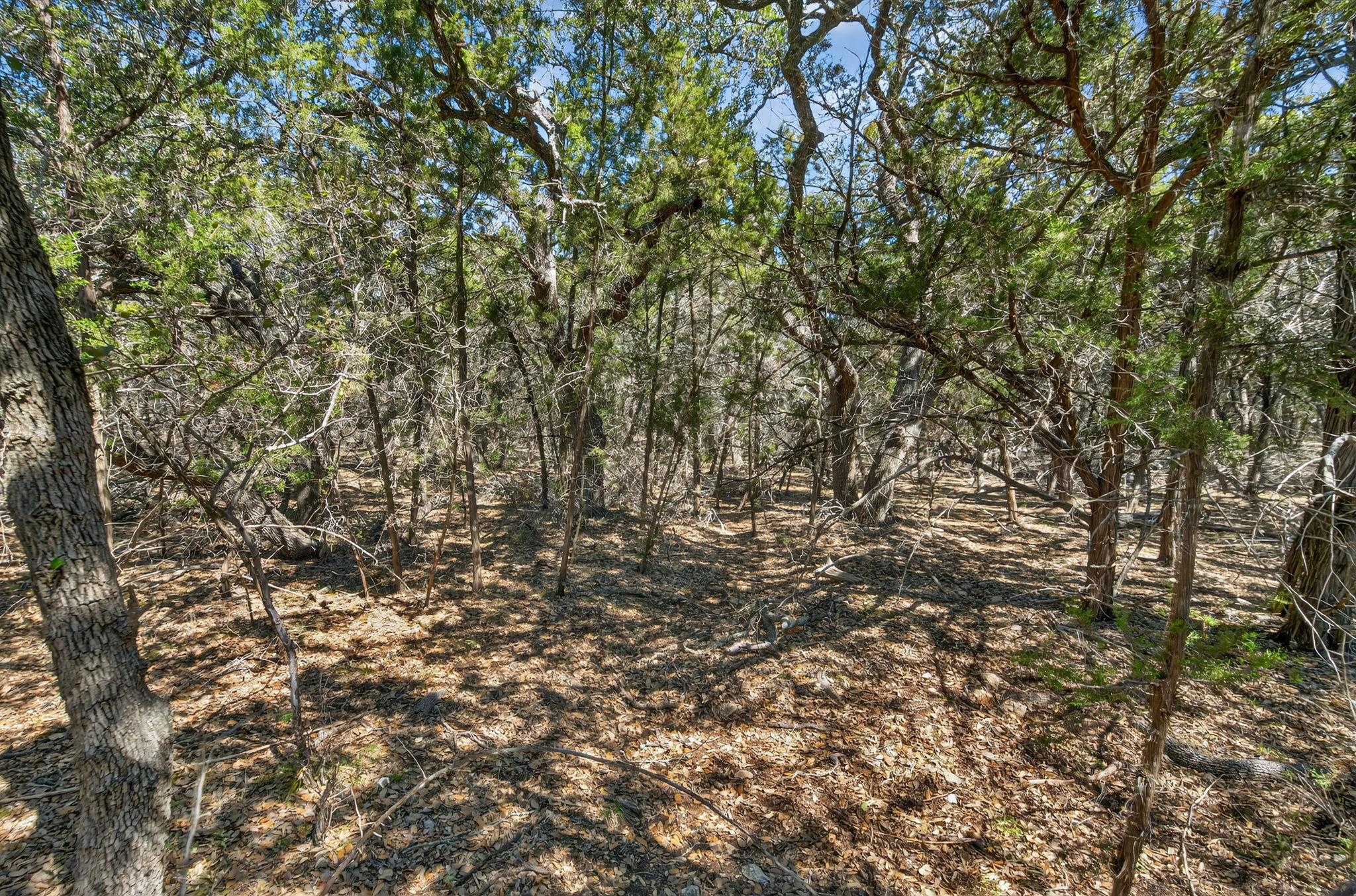 TBD Mesquite Trl, Wimberley, TX 78676