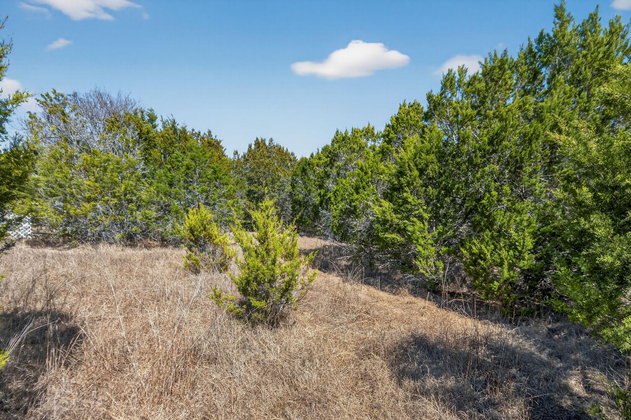 TBD Mesquite Trl, Wimberley, TX 78676