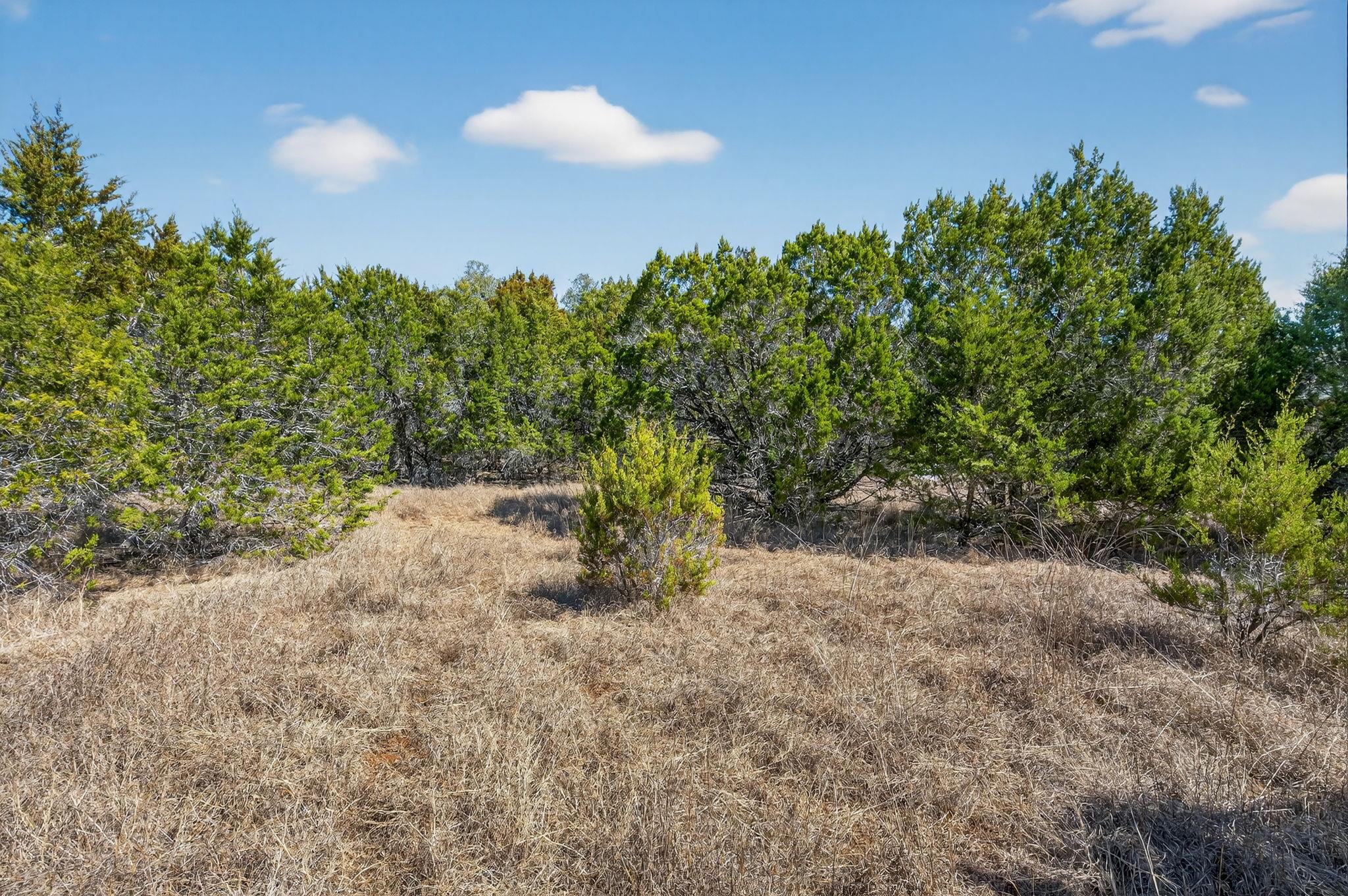 TBD Mesquite Trl, Wimberley, TX 78676