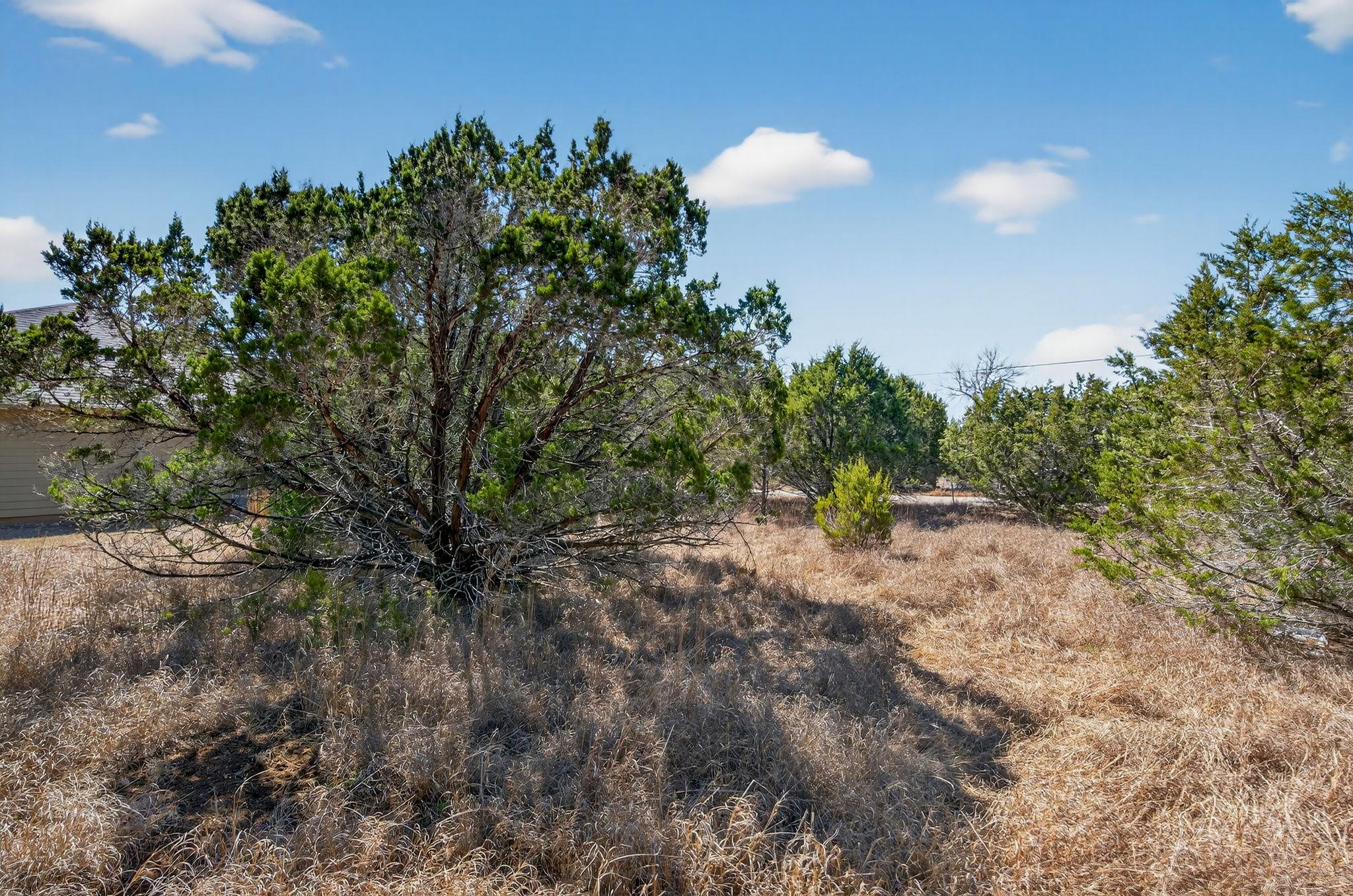 TBD Mesquite Trl, Wimberley, TX 78676