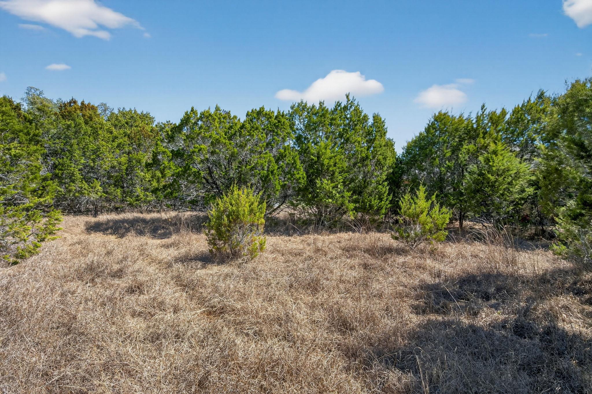 TBD Mesquite Trl, Wimberley, TX 78676