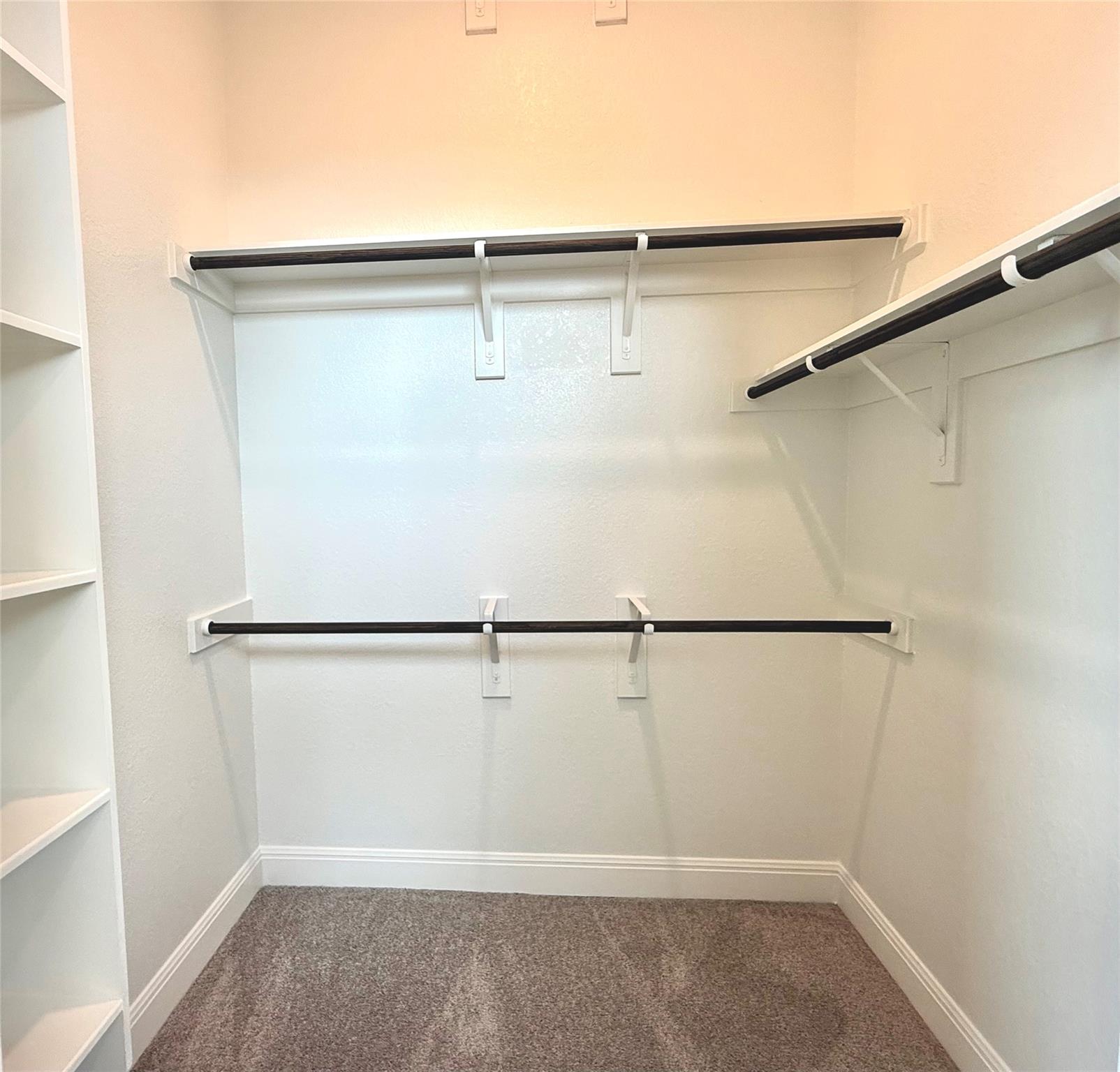 117 Royal Fern Rd, Hutto, TX 78634