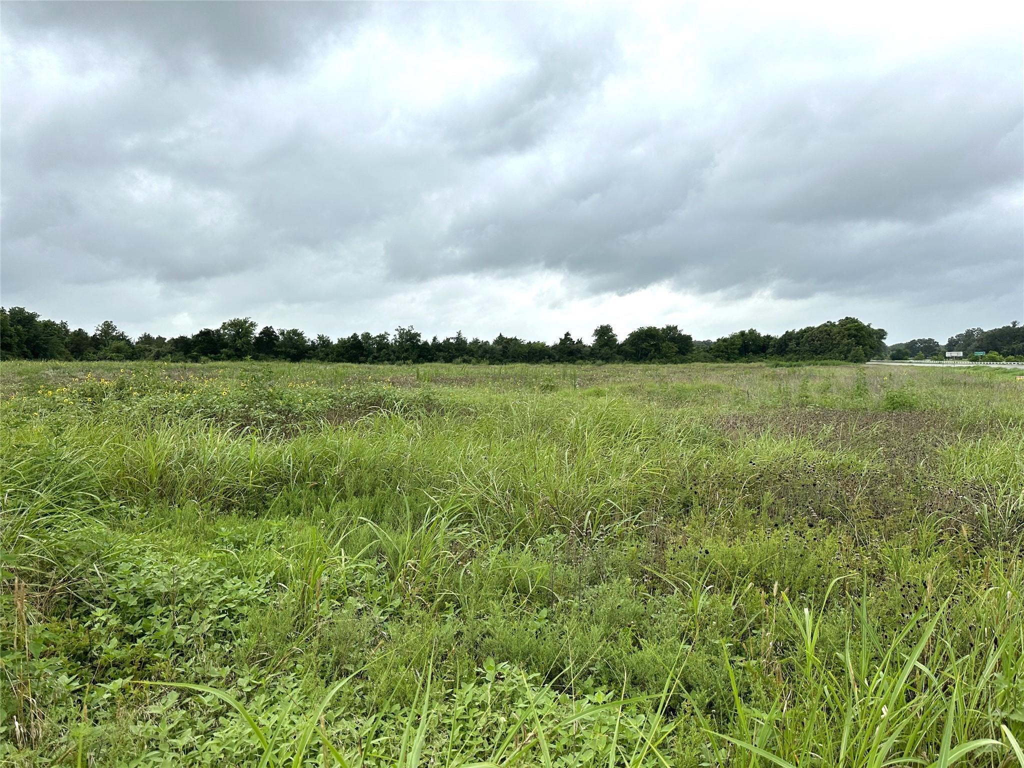 TBD Texas 237, Round Top, TX 78954