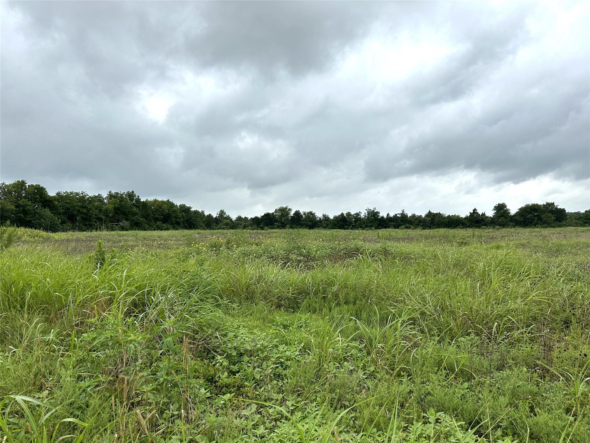 TBD Texas 237, Round Top, TX 78954