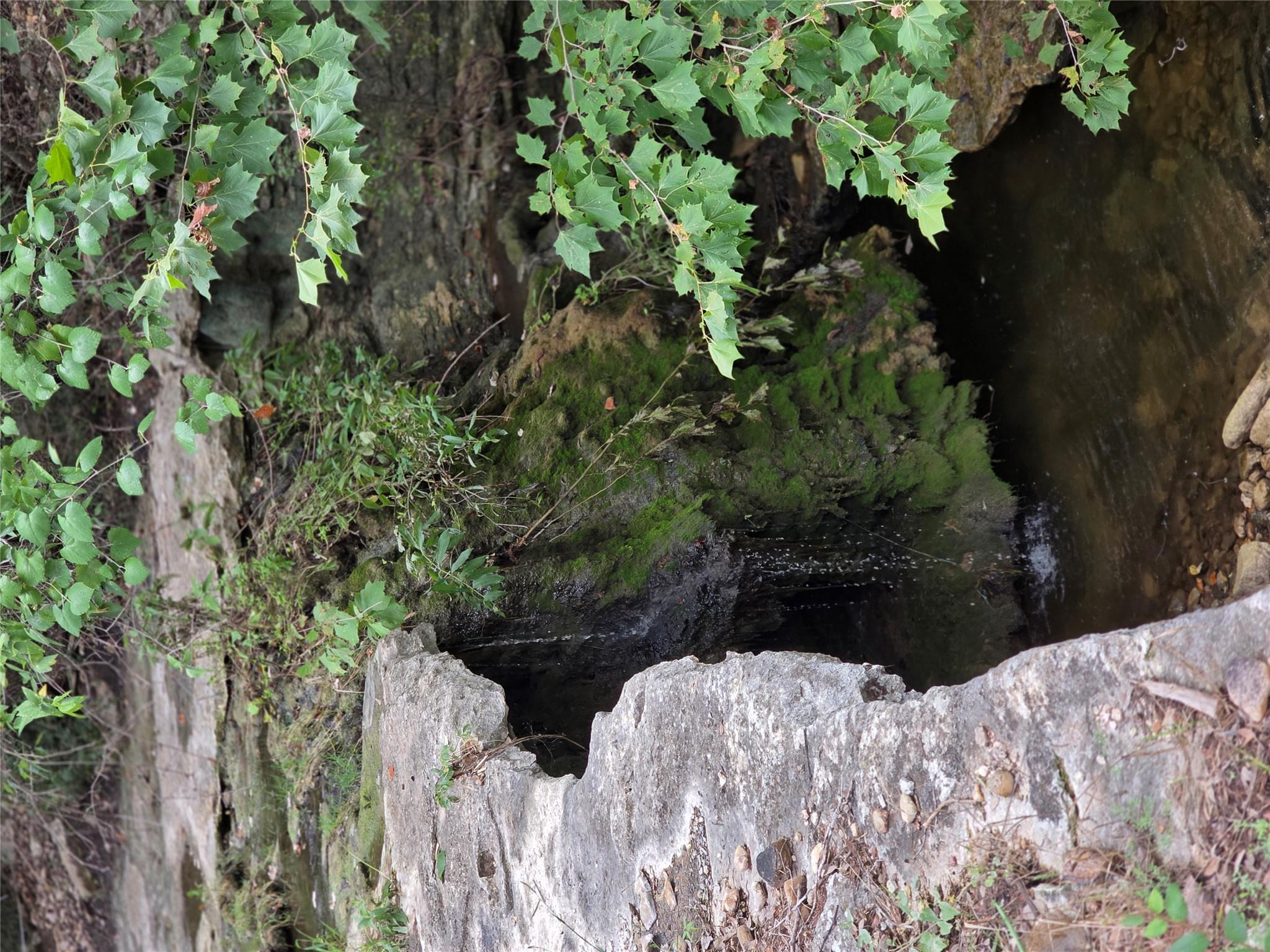 2922 Travis Lakeside Dr, Spicewood, TX 78669