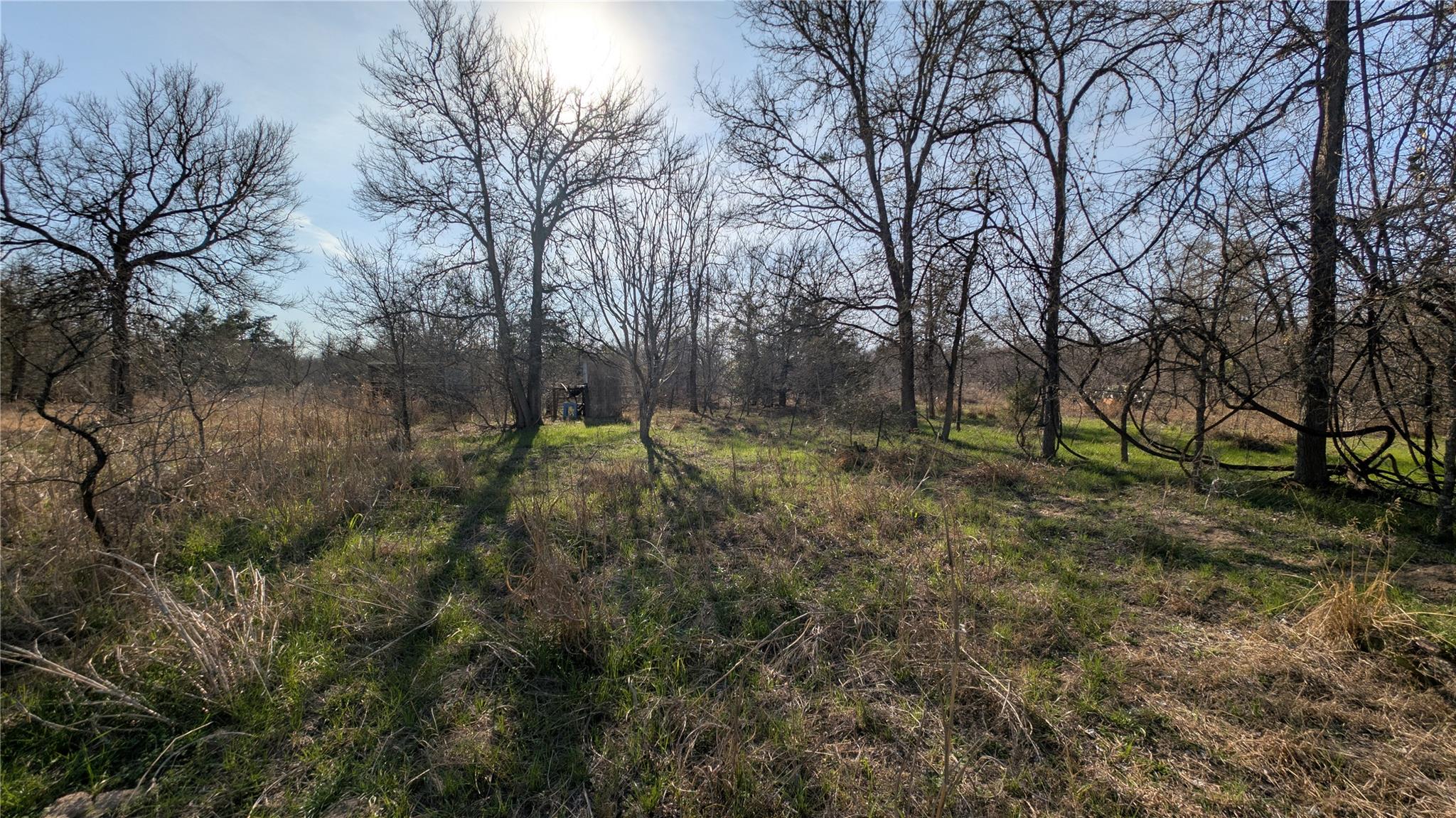 107 Patti Cv N, Bastrop, TX 78602