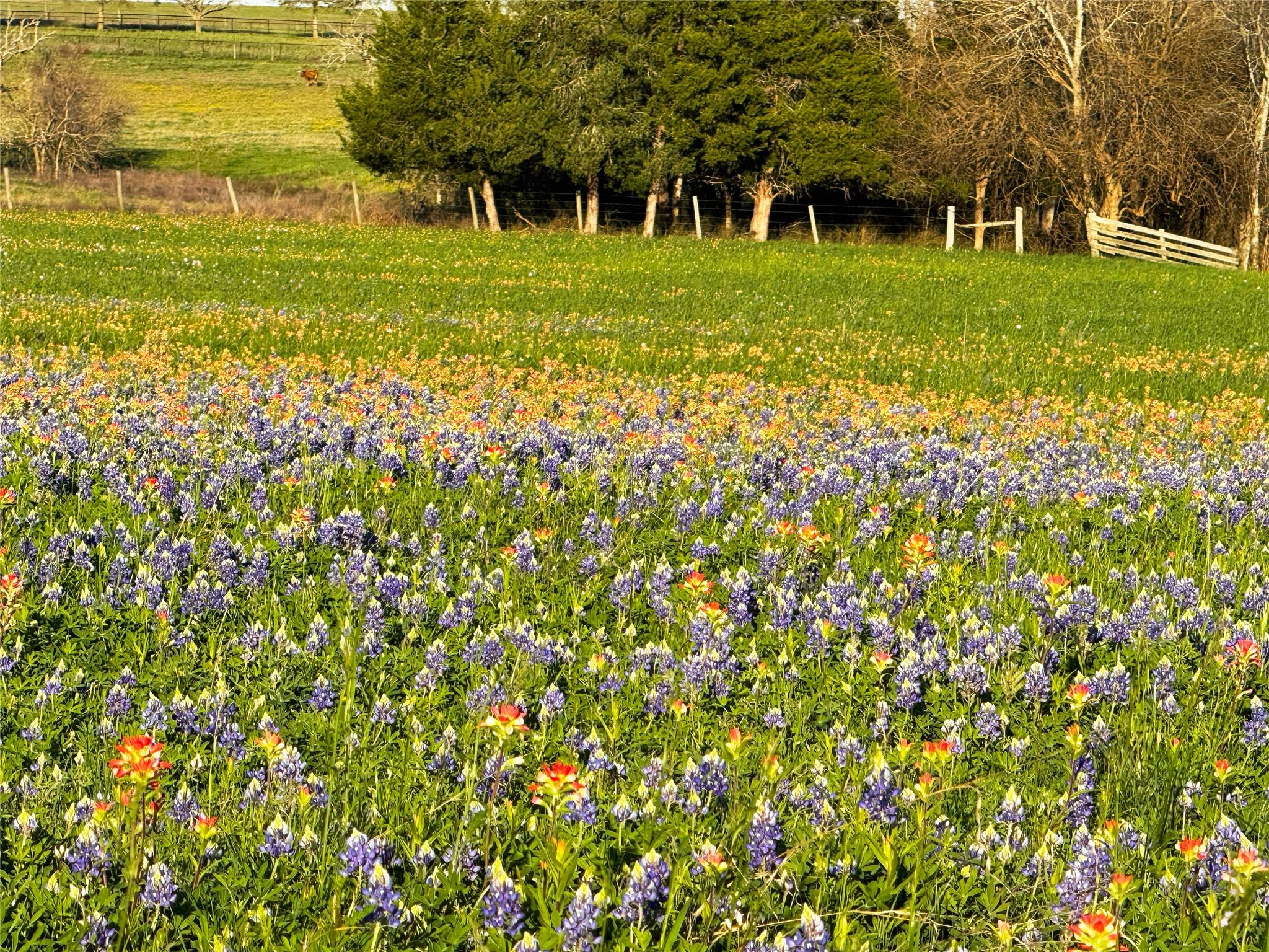 9058 Sam Houston Rd, Brenham, TX 77833