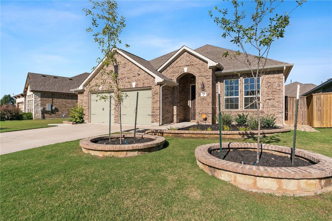 3351 Hidalgo Loop, Round Rock, TX 78665