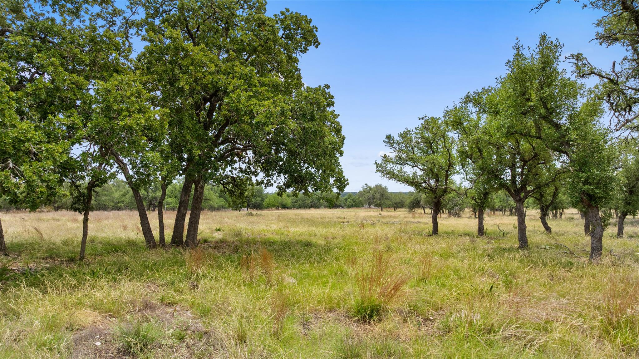 65 Miles Lane, Harper, TX 78631