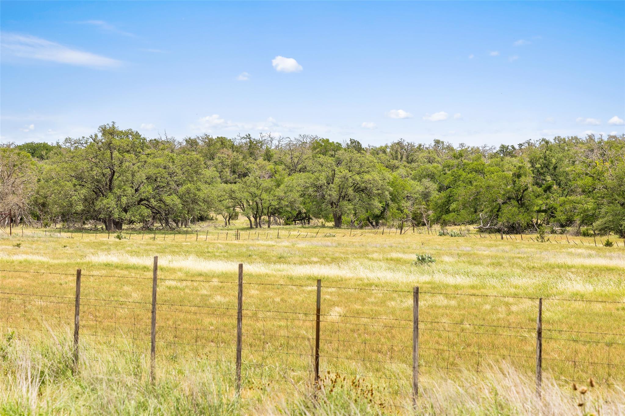 65 Miles Lane, Harper, TX 78631