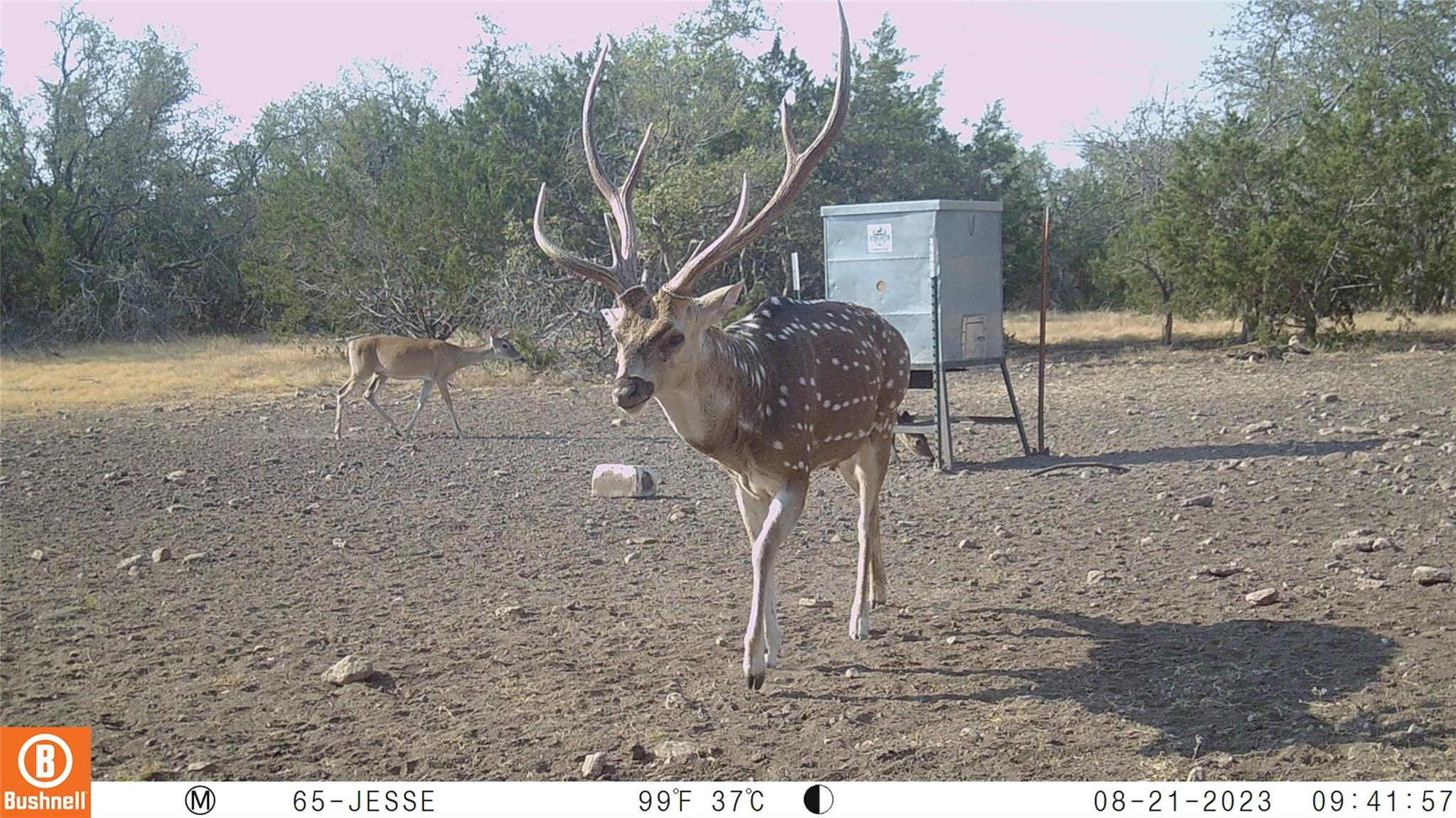 65 Miles Lane, Harper, TX 78631