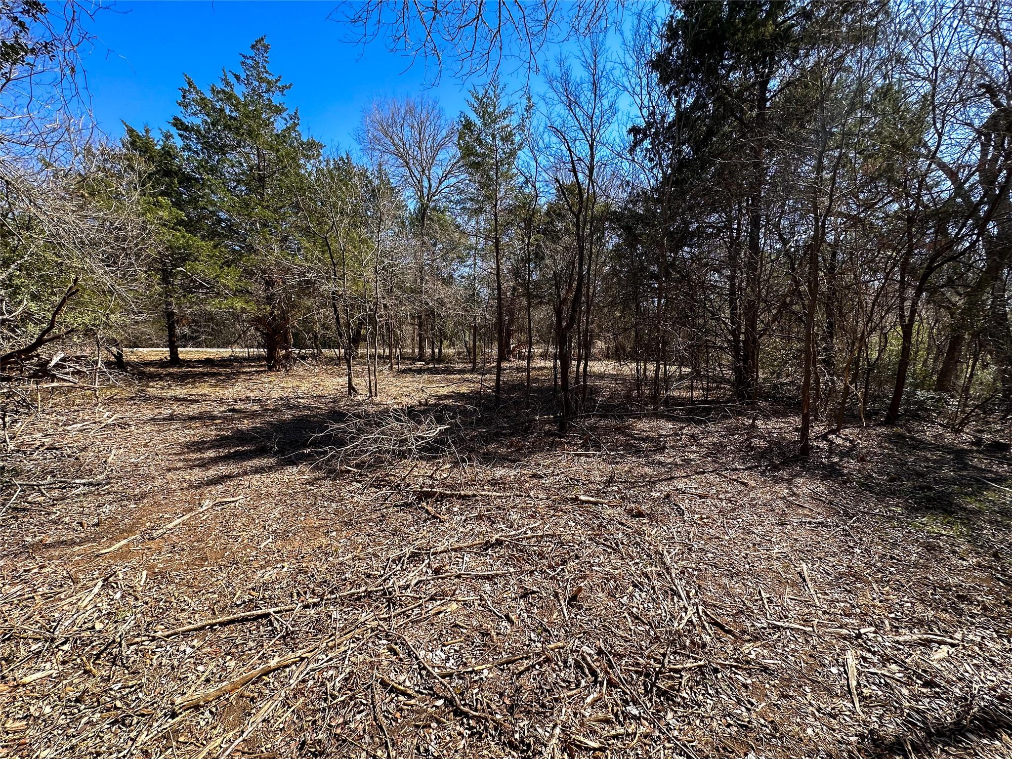 TBD Green Valley Dr, Bastrop, TX 78602