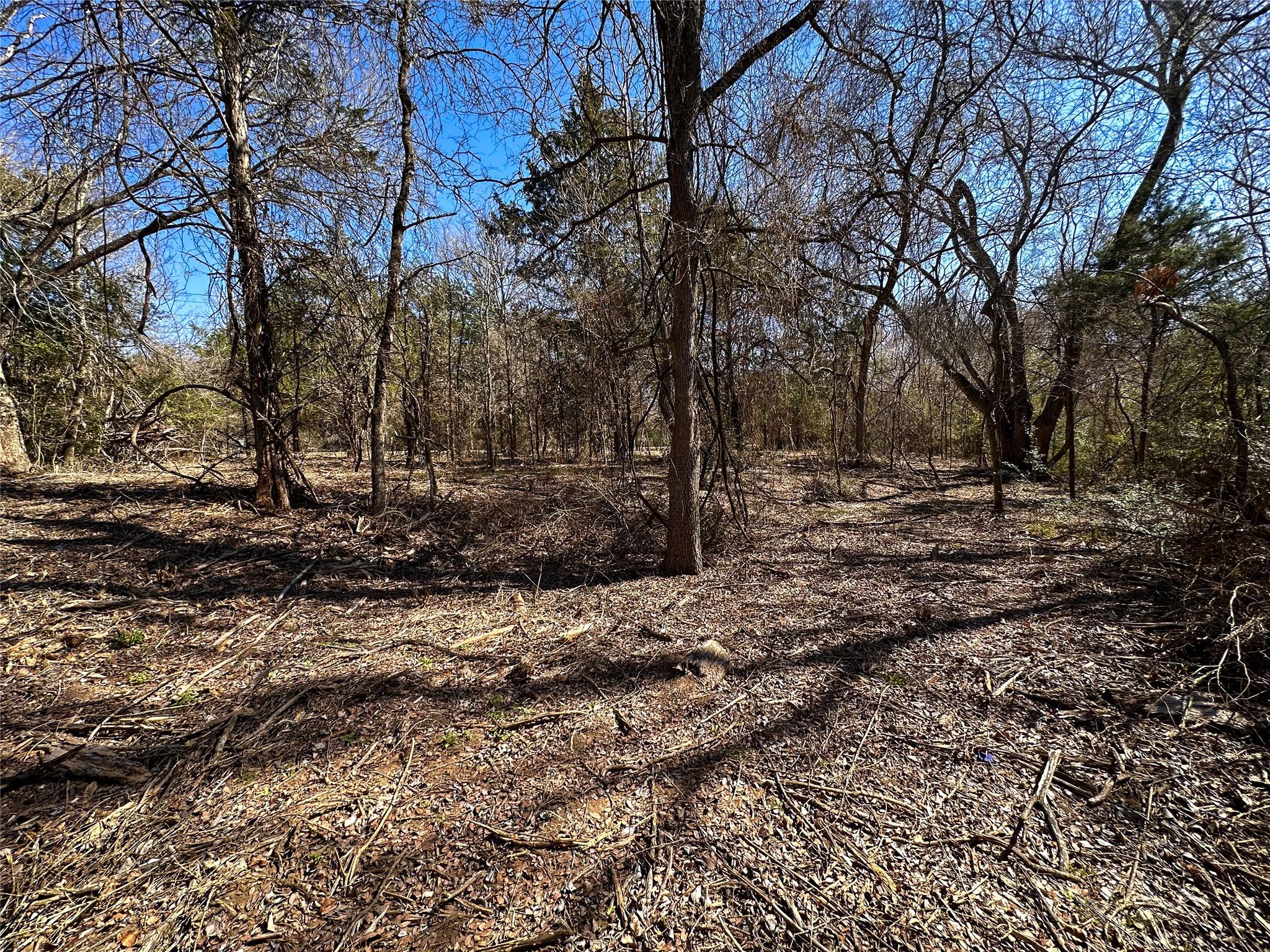 TBD Green Valley Dr, Bastrop, TX 78602