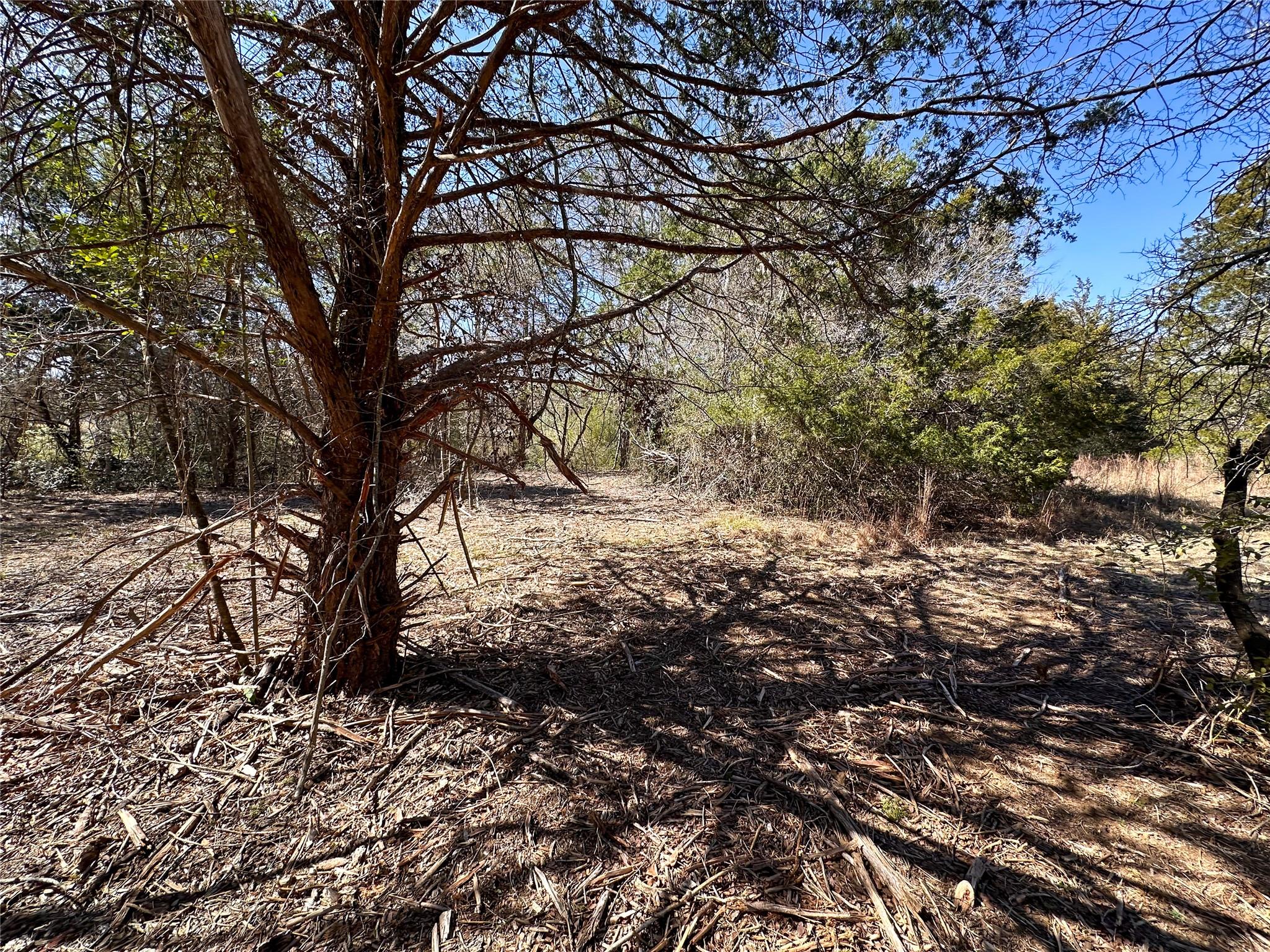 TBD Green Valley Dr, Bastrop, TX 78602