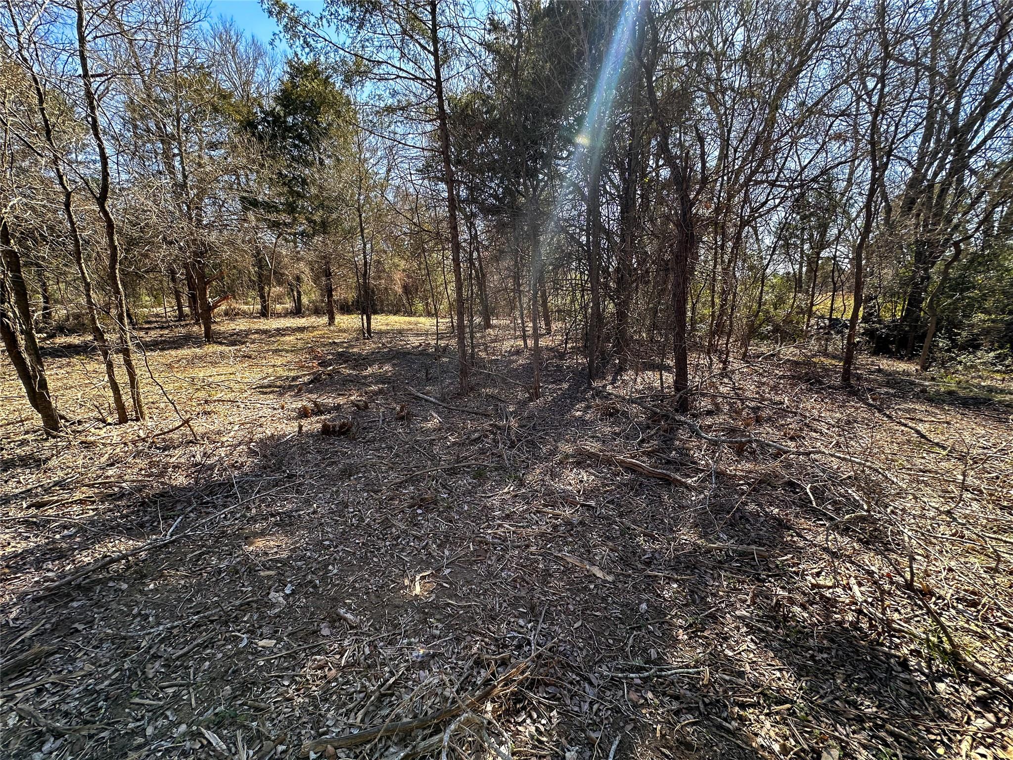 TBD Green Valley Dr, Bastrop, TX 78602