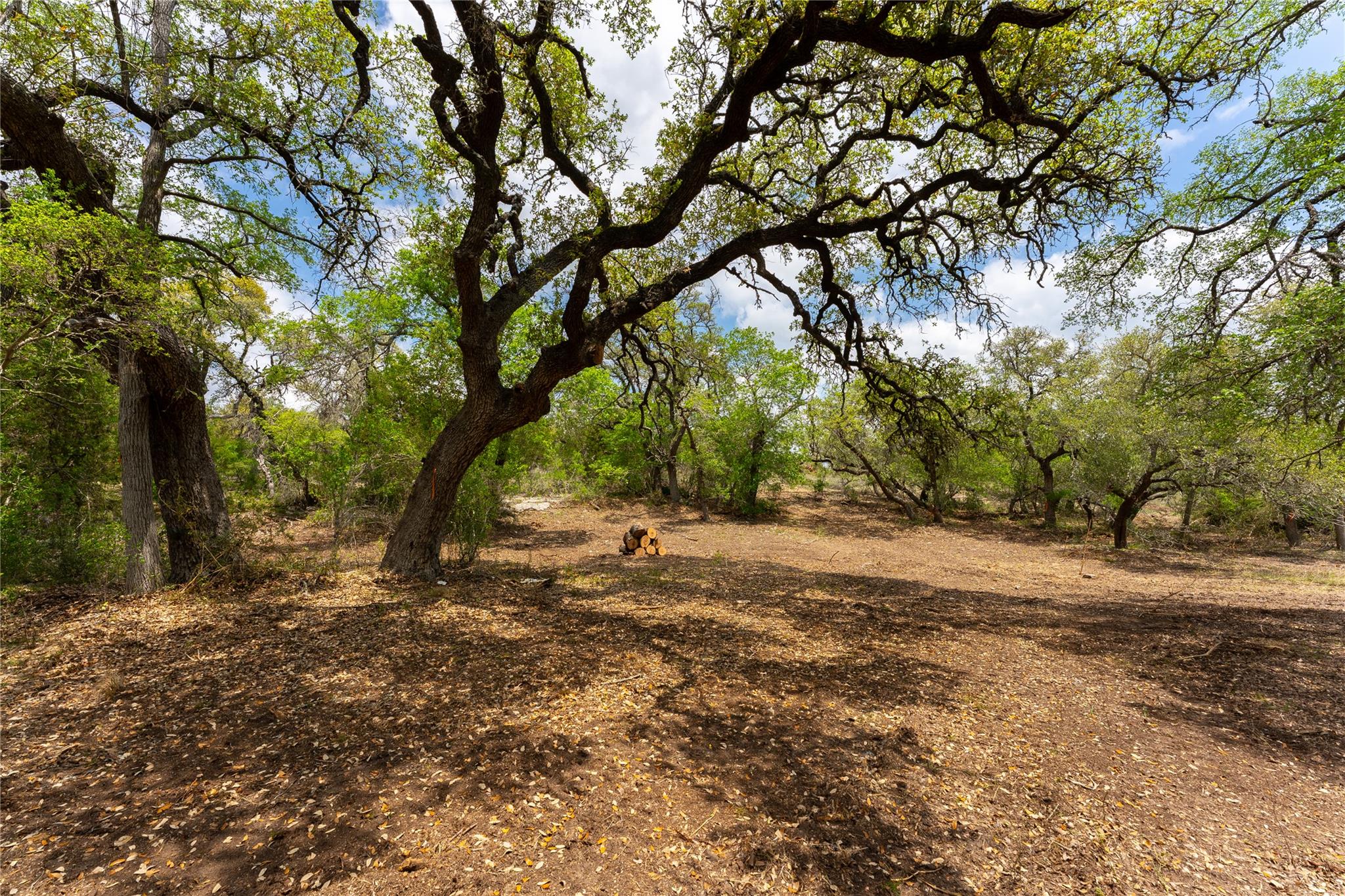 523 Dario Dr, Dripping Springs, TX 78620