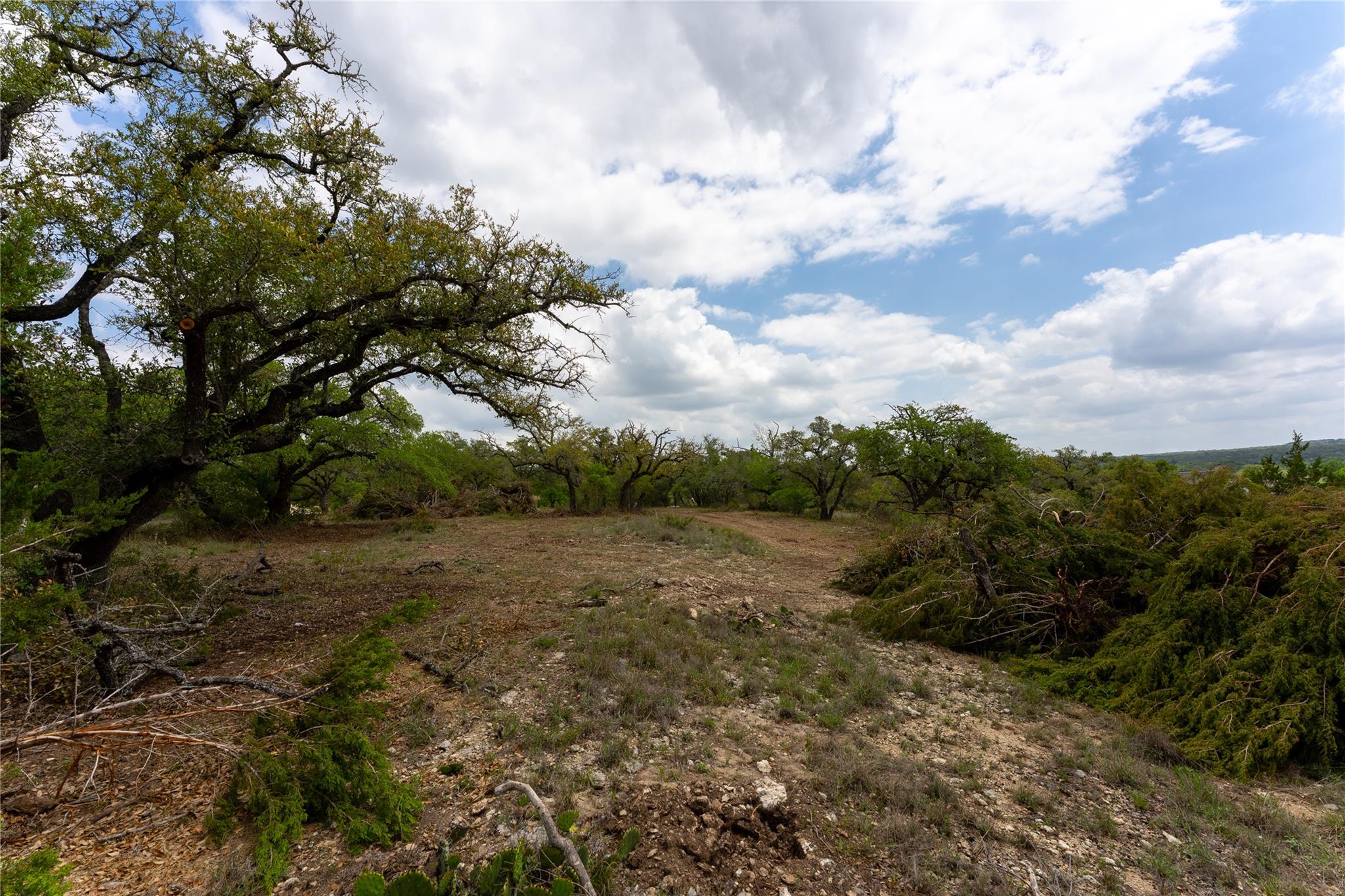 523 Dario Dr, Dripping Springs, TX 78620