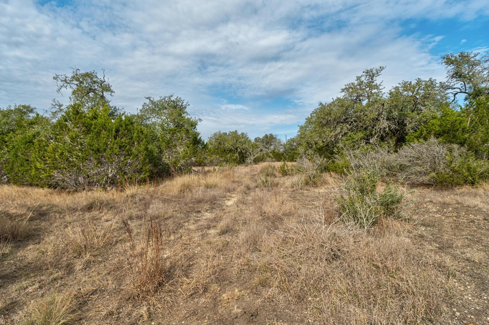 TBD W FM150, Driftwood, TX 78619