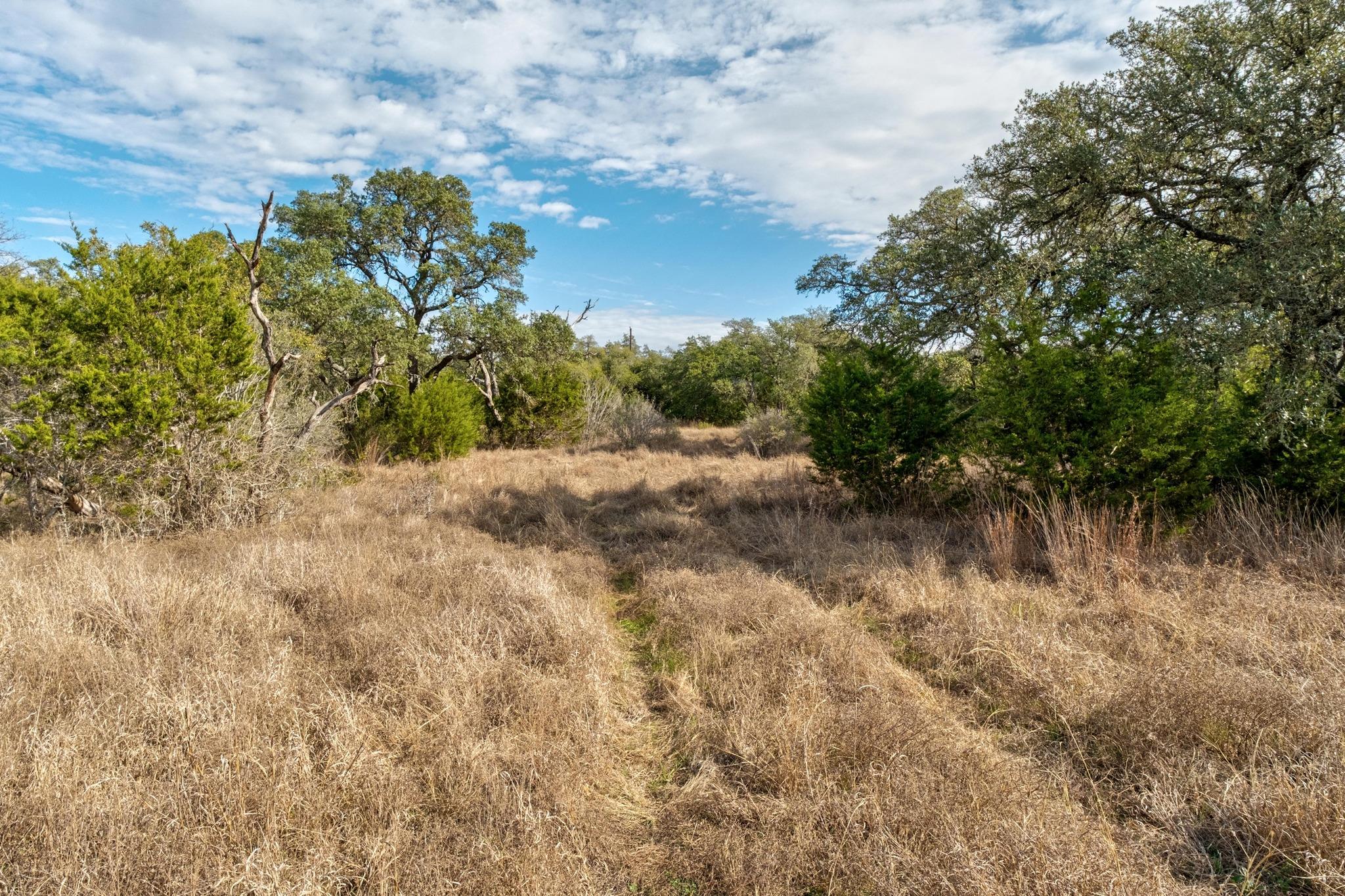 TBD W FM150, Driftwood, TX 78619