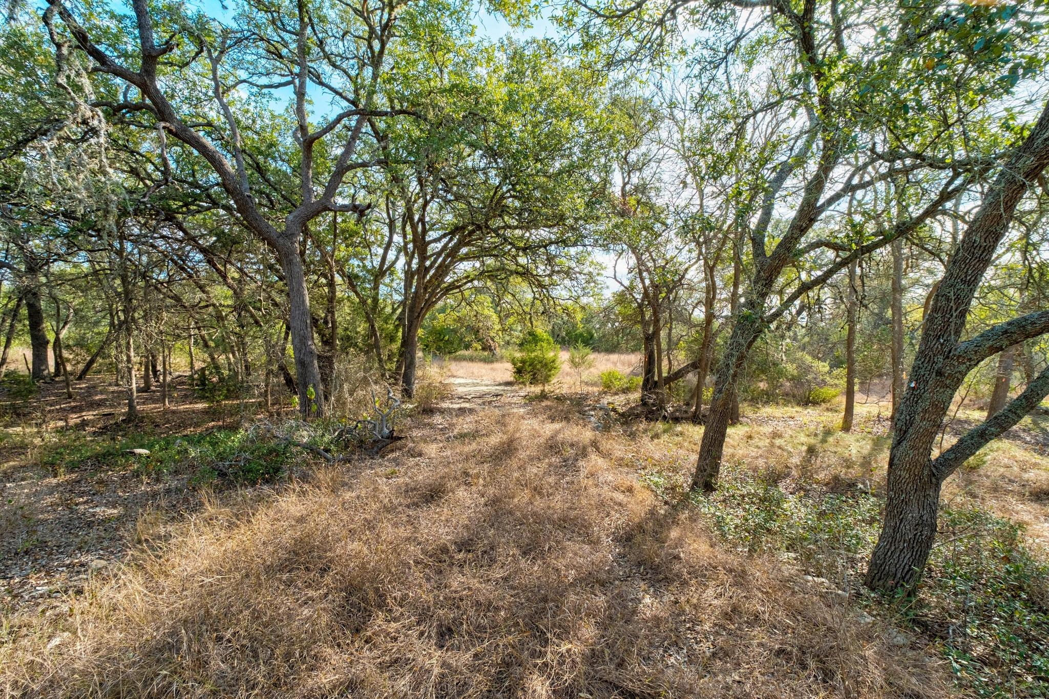 TBD W FM150, Driftwood, TX 78619