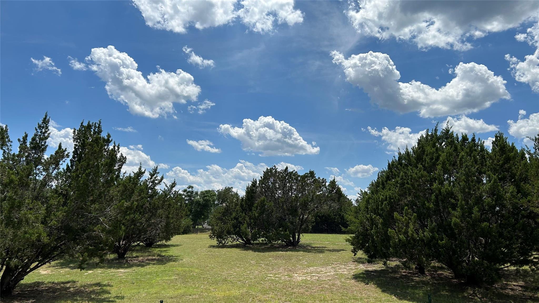 113 Crystal Ln, Georgetown, TX 78633