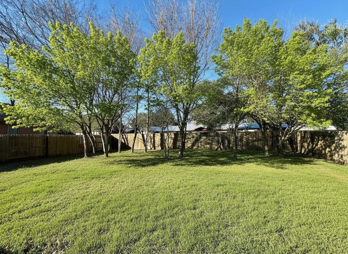 114 Clear Water Pass, Bastrop, TX 78602
