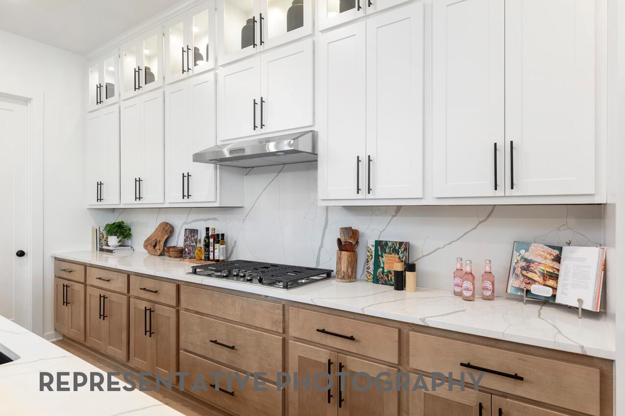 120 Red Camella Dr, Georgetown, TX 78628