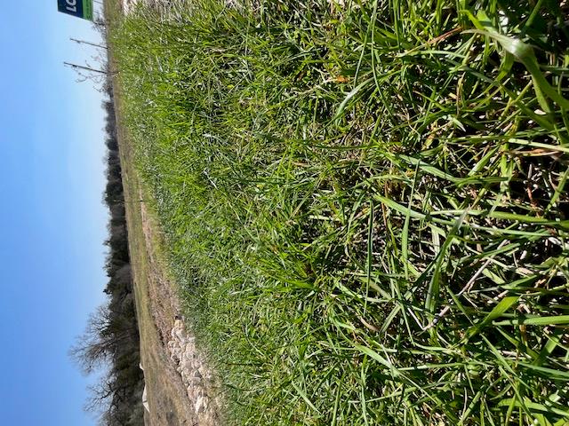 109 Sonoma Dr, Elgin, TX 78621