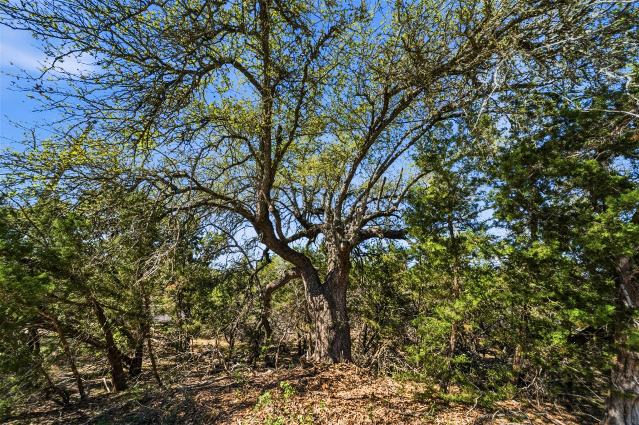 1038 Hidden Hills Dr, Dripping Springs, TX 78620