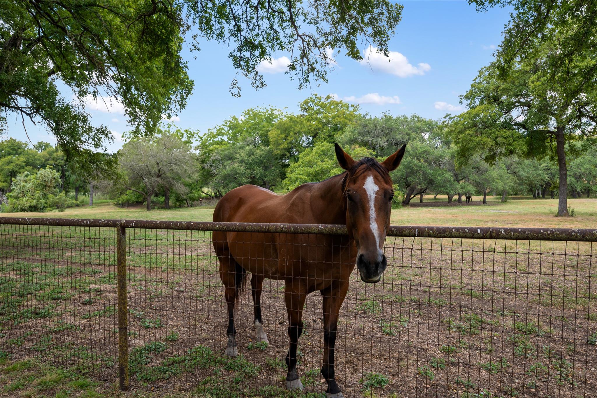 121 Dog Run, Burnet, TX 78611
