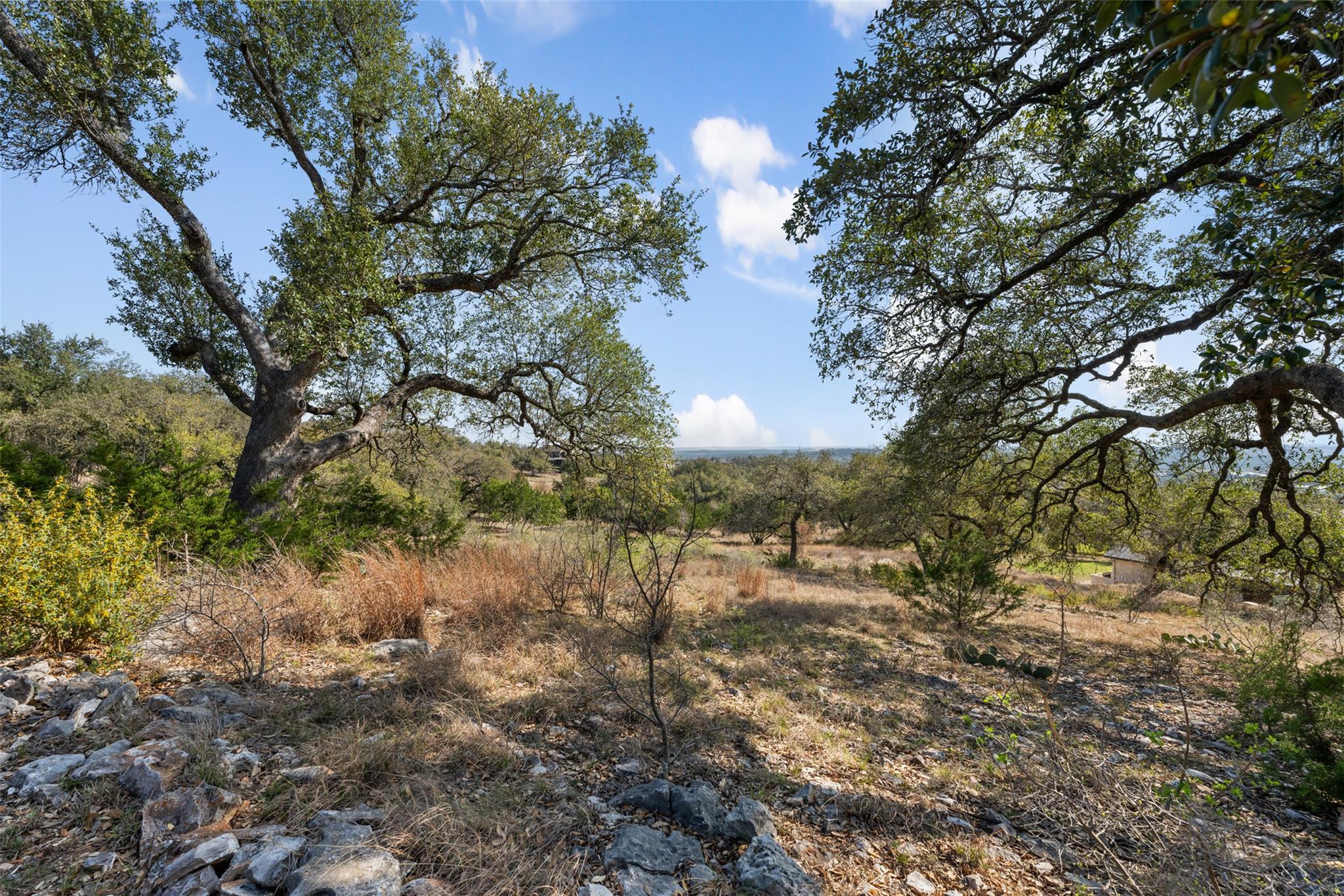 8040 Carlton Ridge Cv, Austin, TX 78738