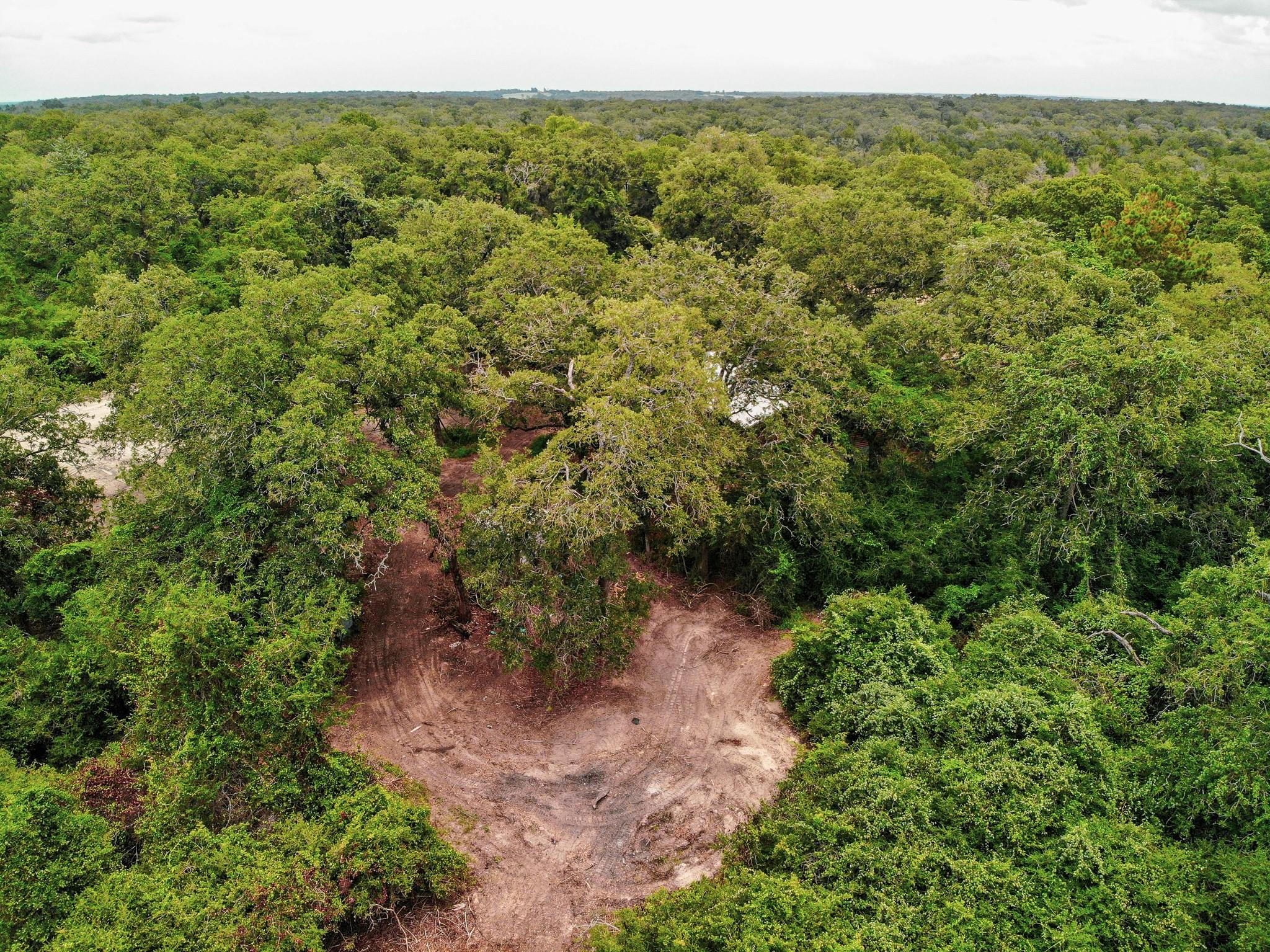 5.8 Acres County Road 342, Milano, TX 76556