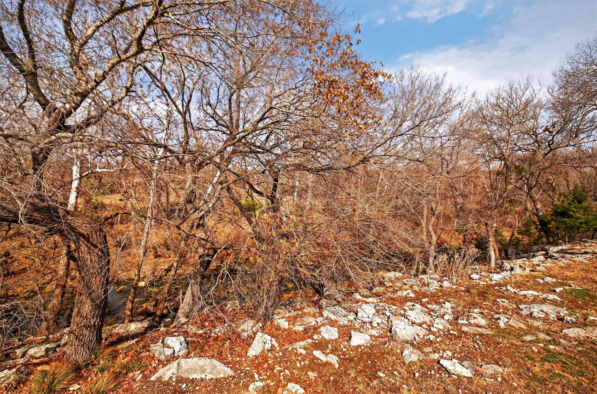 602 Davis Mountain Cir, Georgetown, TX 78633