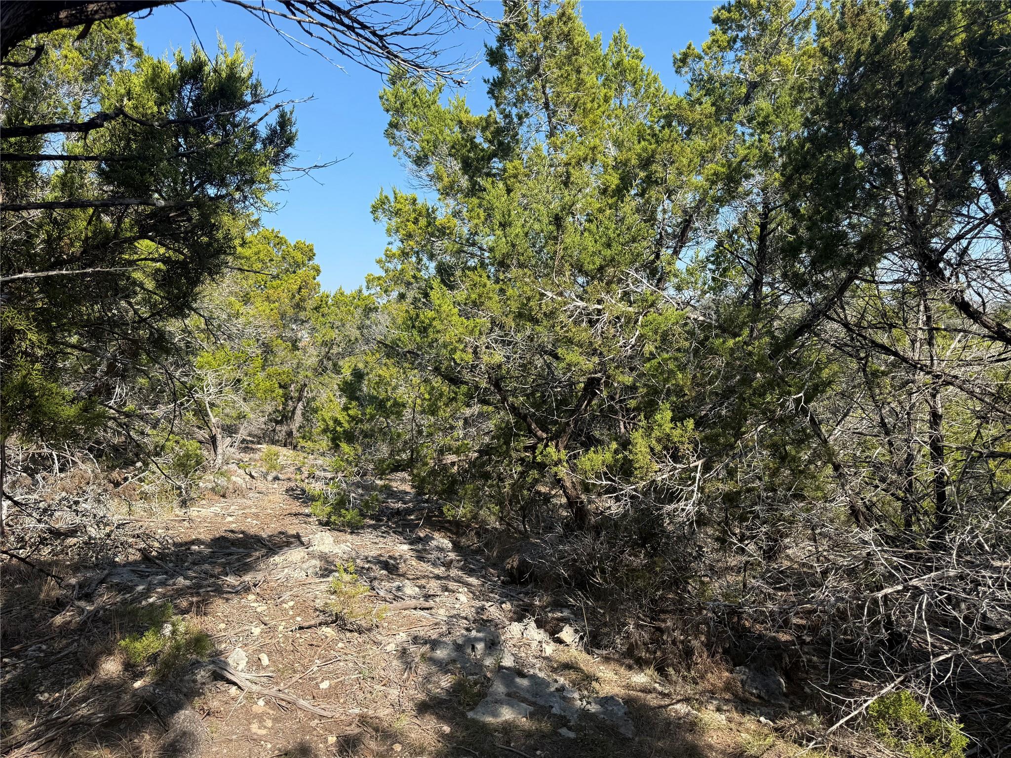 248 Kellog, Fischer, TX 78623